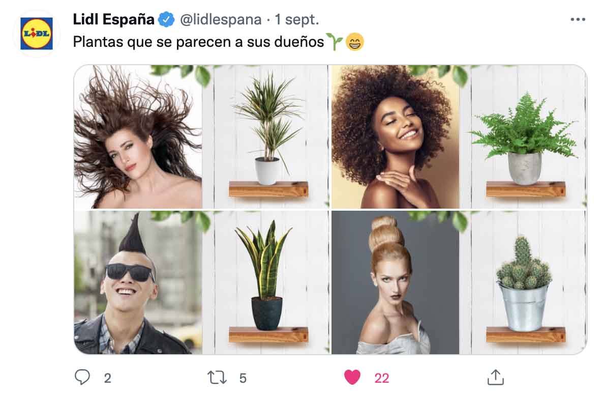 plantas